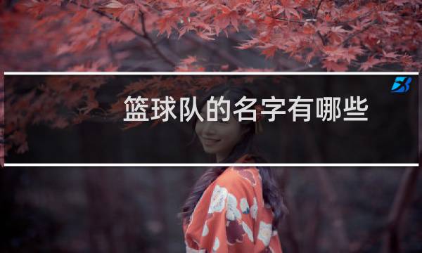 篮球队的名字有哪些图片