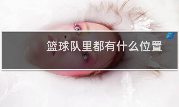 篮球队里都有什么位置图片