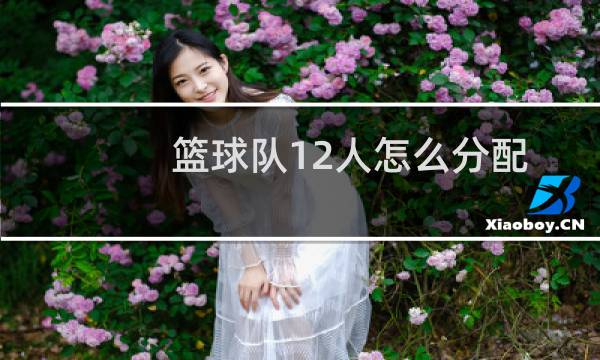 篮球队12人怎么分配图片