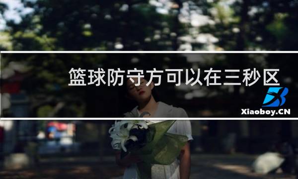 篮球防守方可以在三秒区吗图片