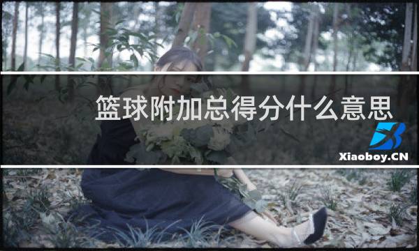 篮球附加总得分什么意思图片