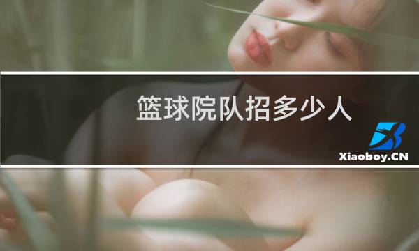 篮球院队招多少人图片