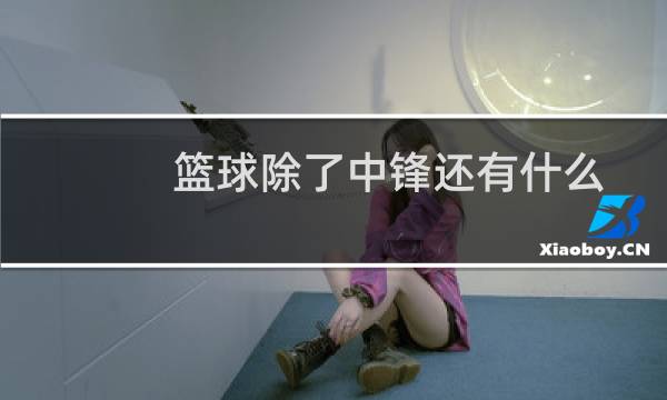 篮球除了中锋还有什么图片
