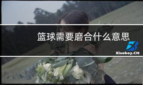 篮球需要磨合什么意思图片