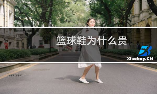 篮球鞋为什么贵图片
