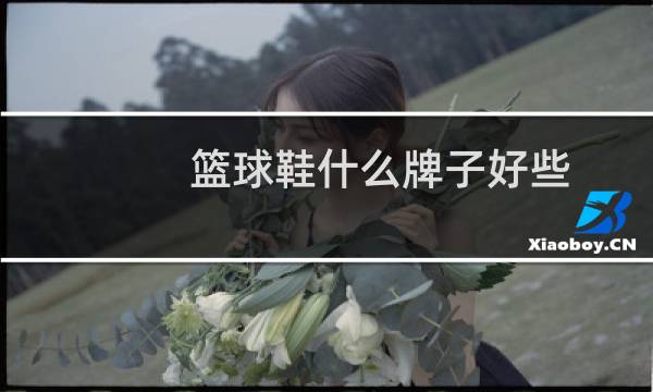 篮球鞋什么牌子好些图片