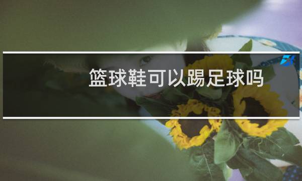 篮球鞋可以踢足球吗图片