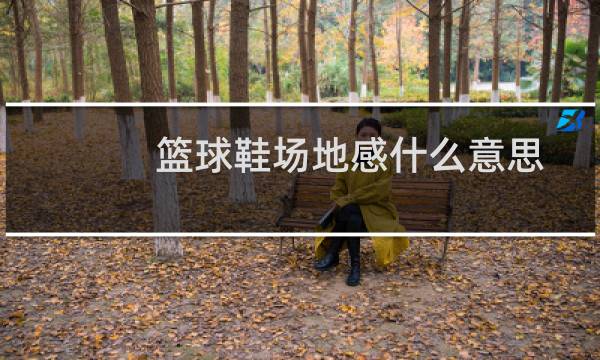 篮球鞋场地感什么意思图片