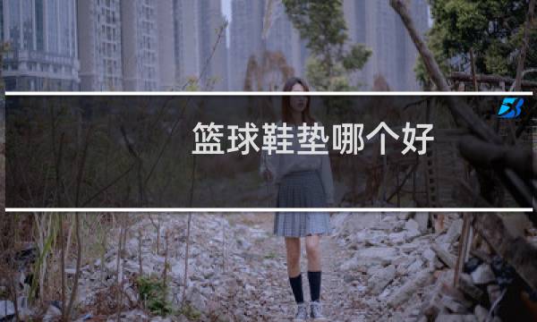 篮球鞋垫哪个好图片