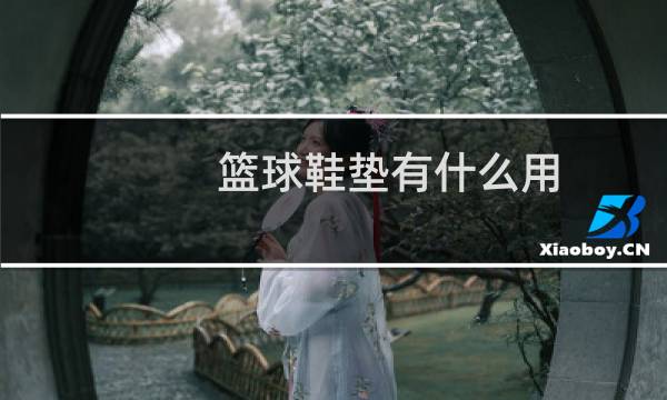 篮球鞋垫有什么用图片