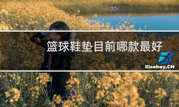 篮球鞋垫目前哪款最好图片