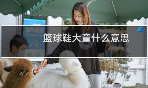 篮球鞋大童什么意思图片