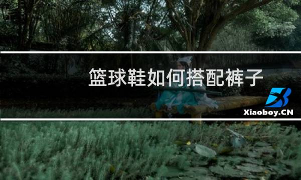 篮球鞋如何搭配裤子图片