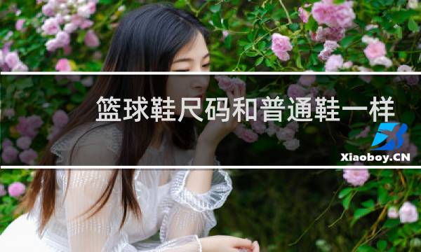 篮球鞋尺码和普通鞋一样吗图片