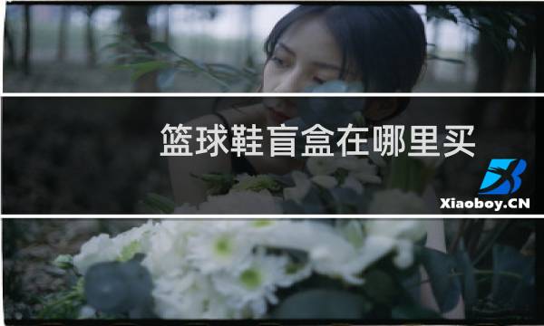 篮球鞋盲盒在哪里买图片