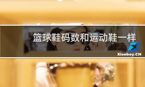 篮球鞋码数和运动鞋一样吗图片