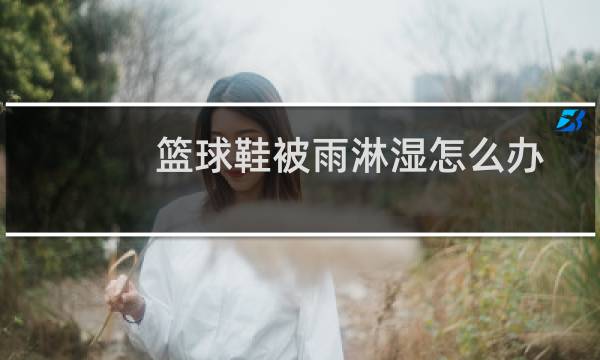 篮球鞋被雨淋湿怎么办图片