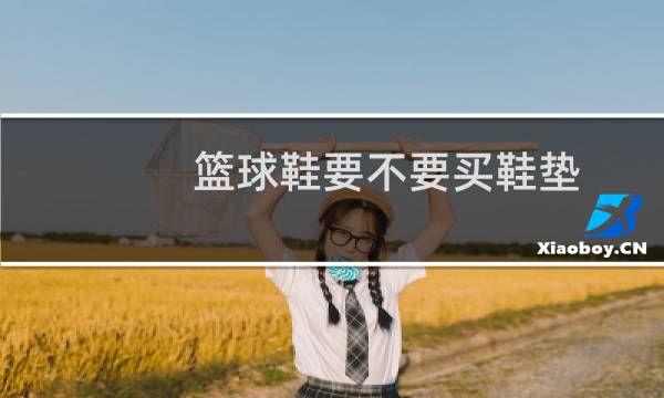 篮球鞋要不要买鞋垫图片