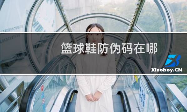篮球鞋防伪码在哪图片