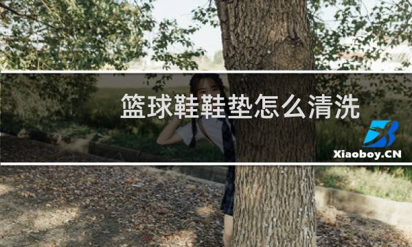 篮球鞋鞋垫怎么清洗图片