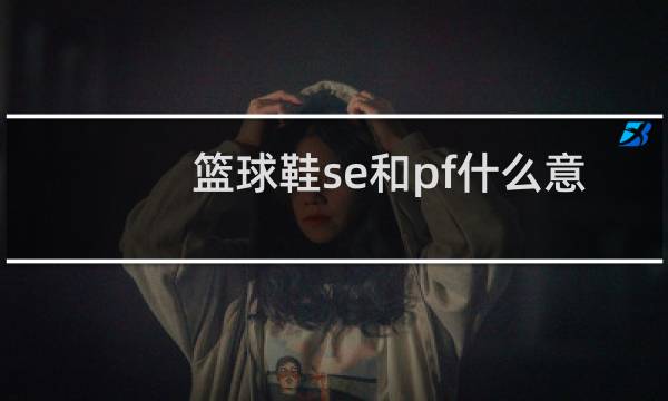 篮球鞋se和pf什么意思图片