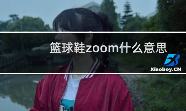 篮球鞋zoom什么意思图片