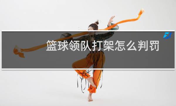 篮球领队打架怎么判罚图片