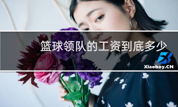 篮球领队的工资到底多少图片