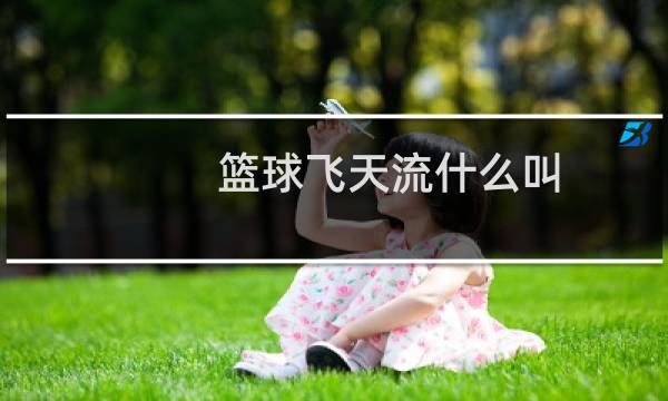 篮球飞天流什么叫图片