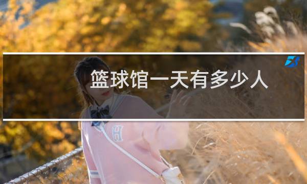 篮球馆一天有多少人图片