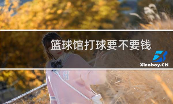 篮球馆打球要不要钱图片