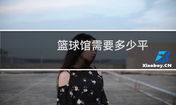 篮球馆需要多少平图片
