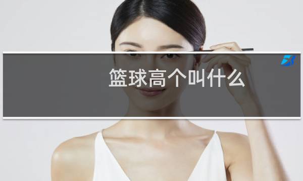 篮球高个叫什么图片