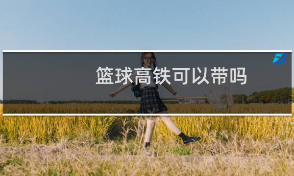 篮球高铁可以带吗图片