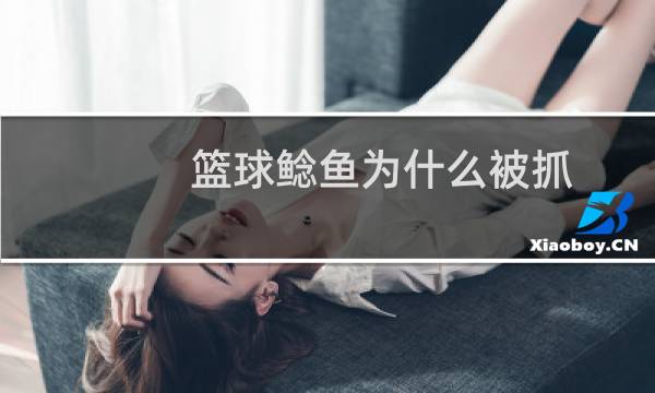 篮球鲶鱼为什么被抓图片