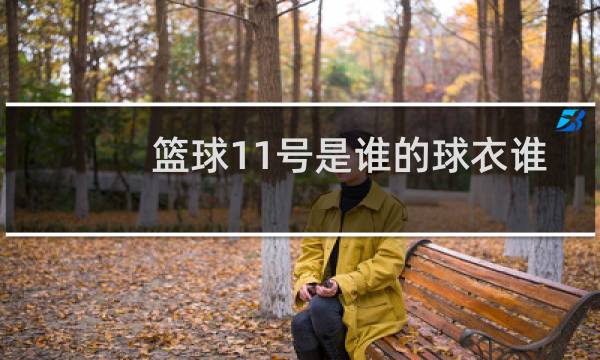 篮球11号是谁的球衣谁穿得最久图片