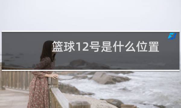 篮球12号是什么位置图片