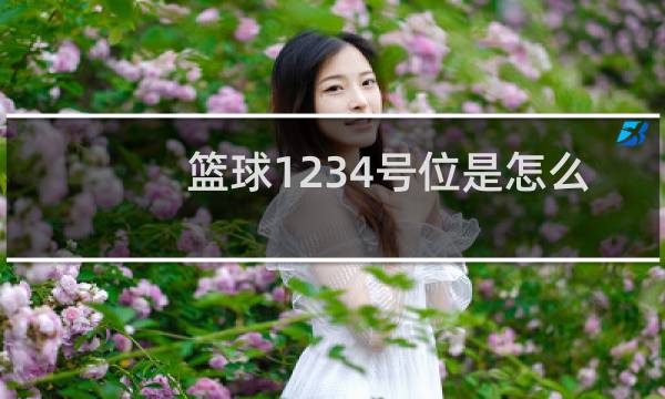 篮球1234号位是怎么分的图片