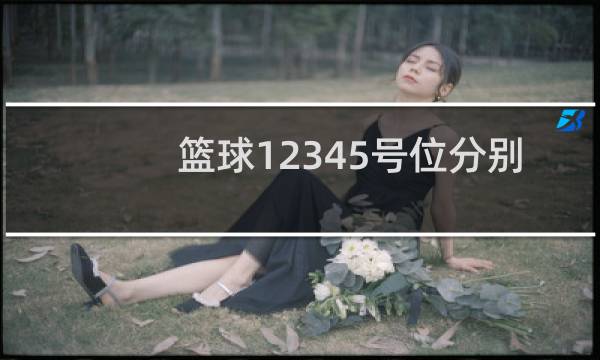 篮球12345号位分别是什么位置图片