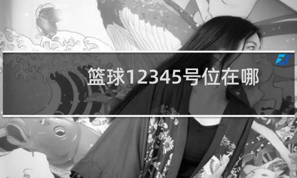 篮球12345号位在哪图片