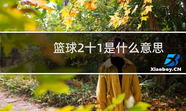 篮球2十1是什么意思图片
