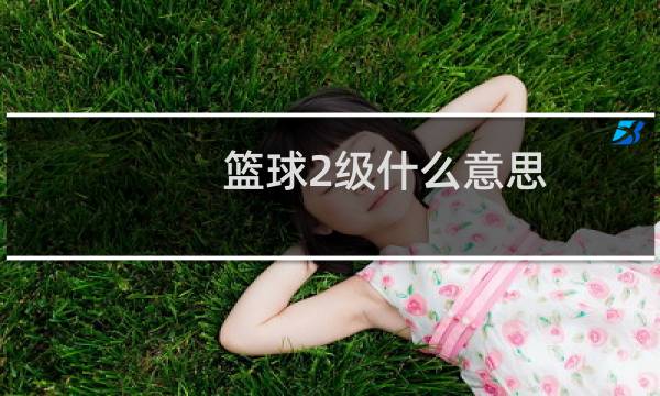 篮球2级什么意思图片