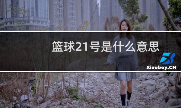 篮球21号是什么意思图片