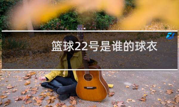 篮球22号是谁的球衣图片