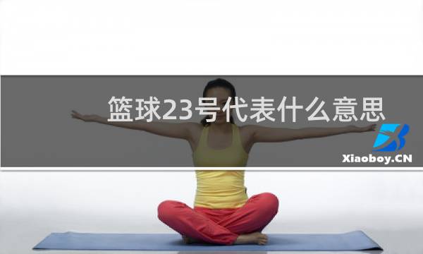 篮球23号代表什么意思图片
