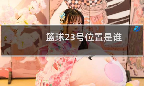 篮球23号位置是谁图片