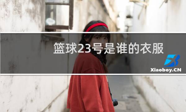 篮球23号是谁的衣服图片
