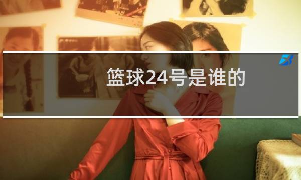 篮球24号是谁的图片