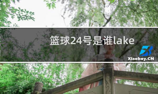 篮球24号是谁lakers图片