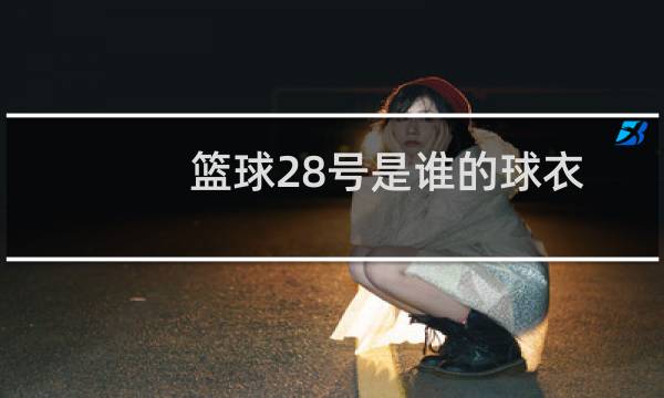 篮球28号是谁的球衣图片